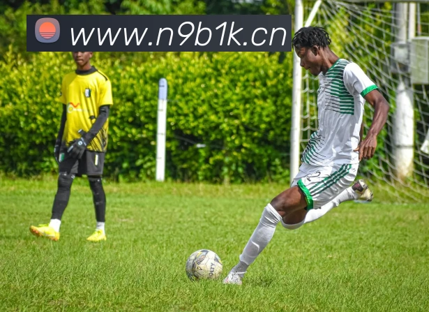 九游网页版官网登录服务体系